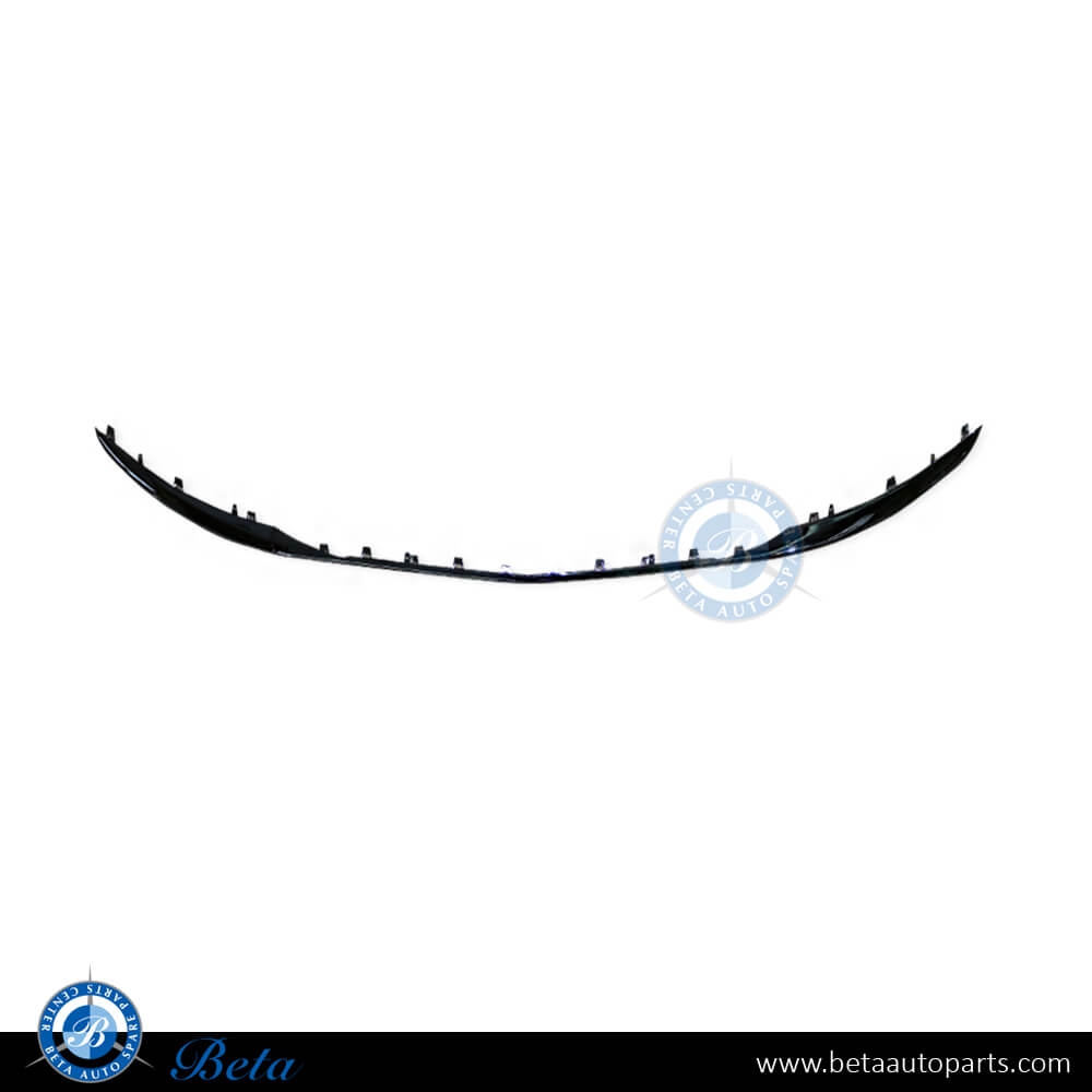 Front Bumper Middle Moulding Maybach for Mercedes S-Class W222 2018-2020 models, Part Number 2228854900