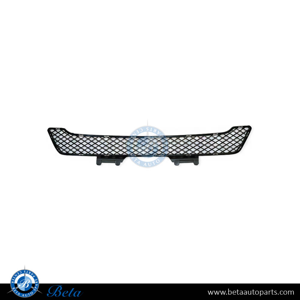 Front Bumper Lower Grille for Mercedes ML-Class W164 2009-2011 models, Part Number 1648854123