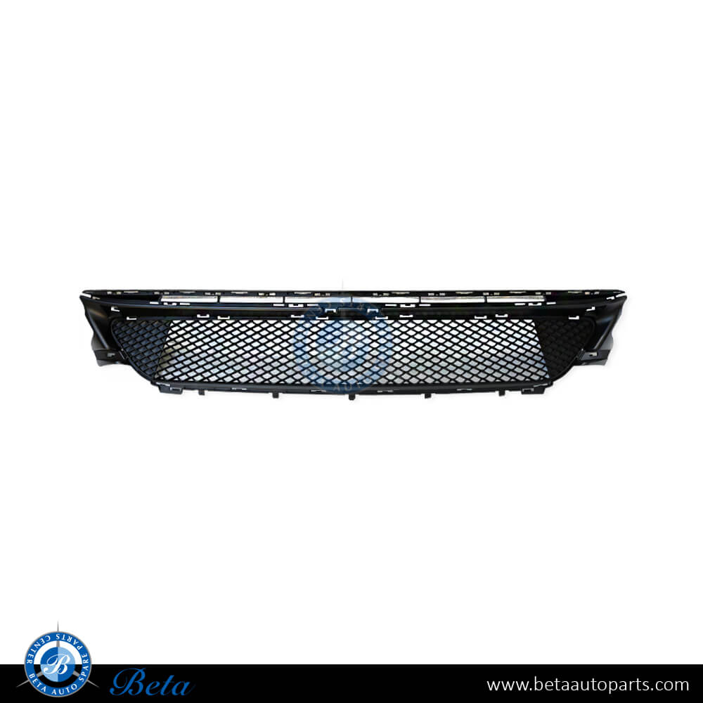 Front Bumper Lower Grille Avantgrade and Standard for Mercedes C-Class C205 2019-2021 models, Part Number 2058852501